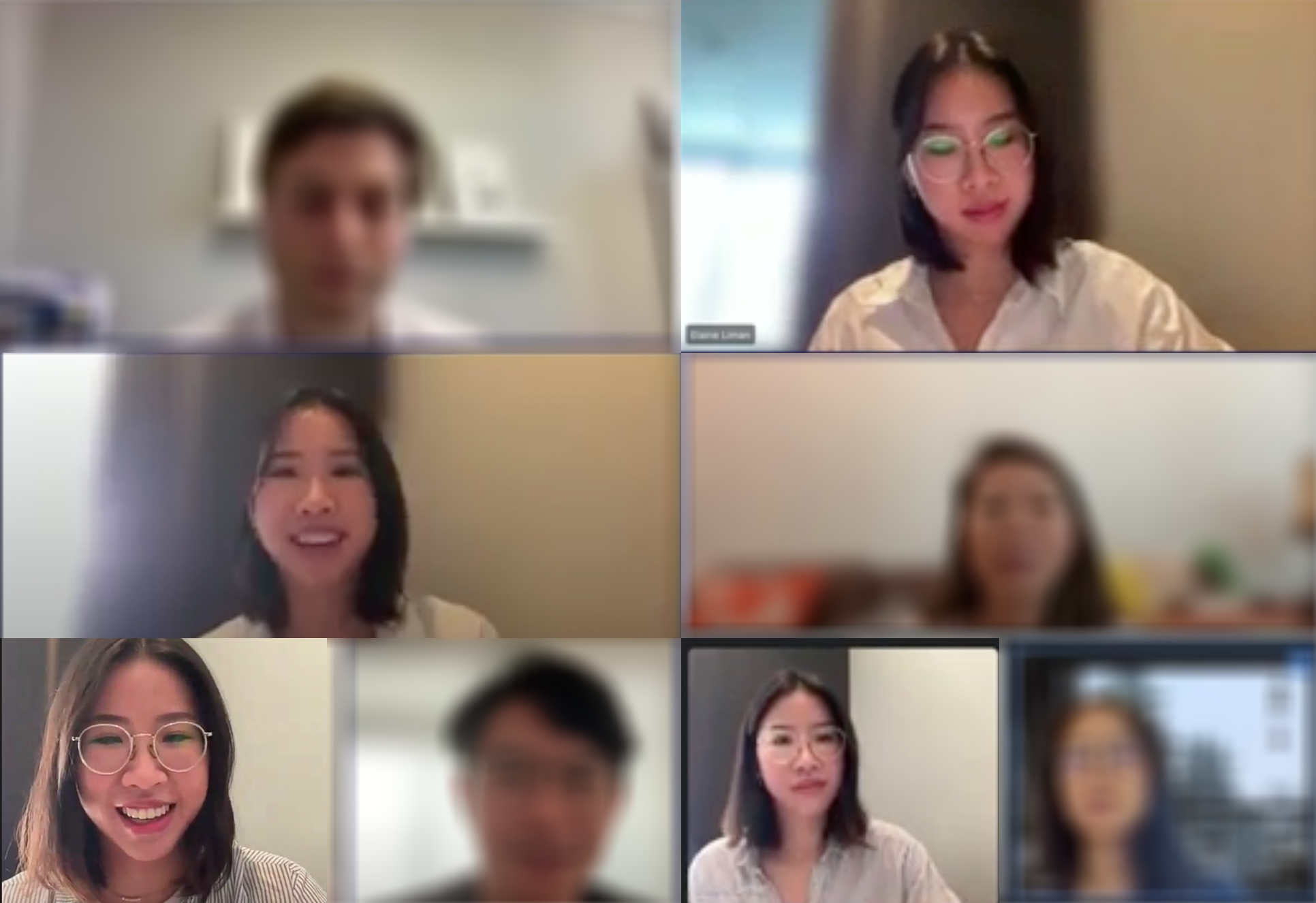 User interview synthesis
